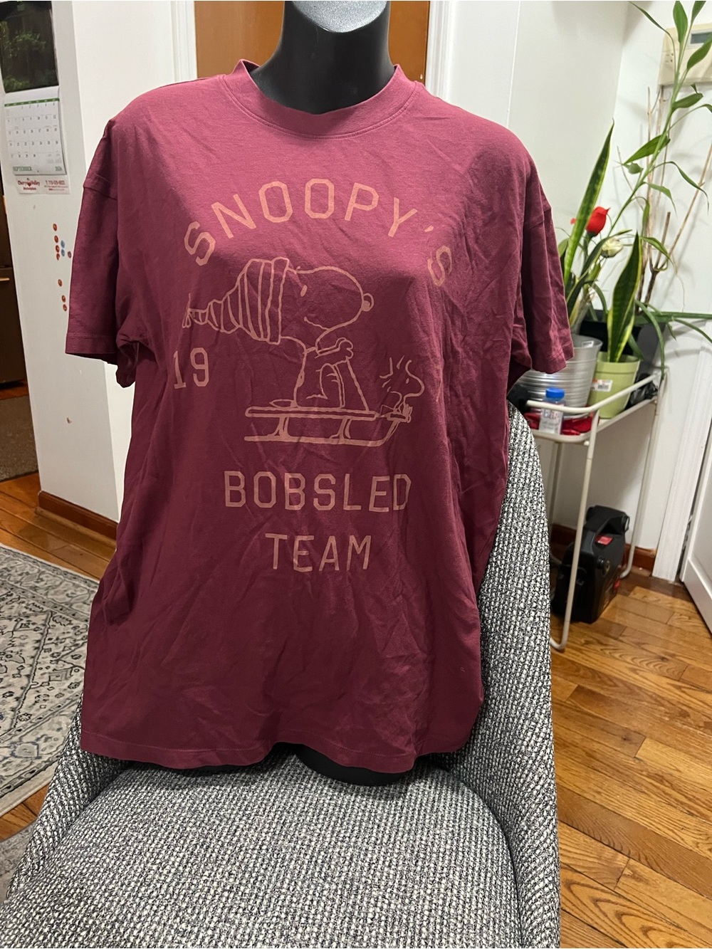 American Eagle Outfitters Maroon Snoopy Bobsled Graphic Tee - Women's